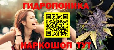 кокс Краснодар