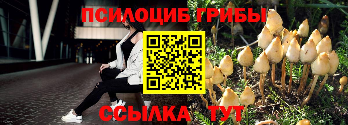 Псилоцибиновые грибы Cubensis  Вход с VPN  Щёлково  Галлюциногенные грибы ЛСД 